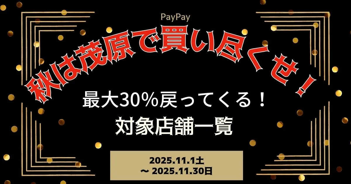 【PayPayペイペイ】茂原市30%還元キャンペーン対象店舗一覧と探し方！千葉県最新情報